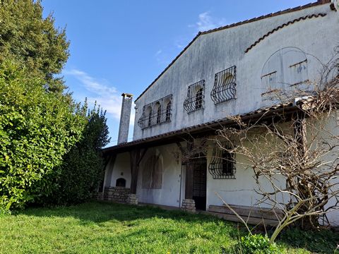 photo no. 15
