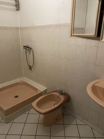 photo no. 16