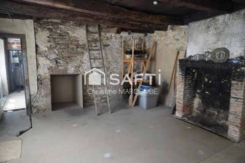photo no. 11