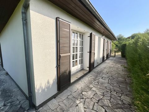 photo no. 10