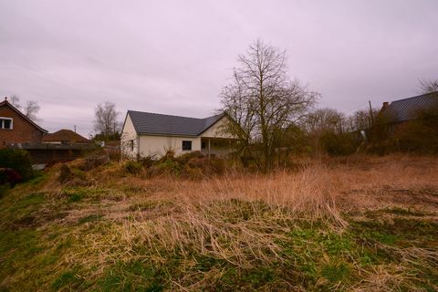 photo no. 2
