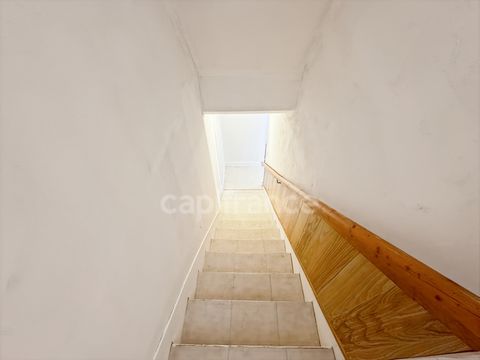 photo no. 2