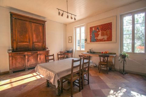 photo no. 19