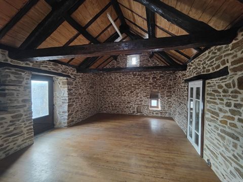 photo no. 16