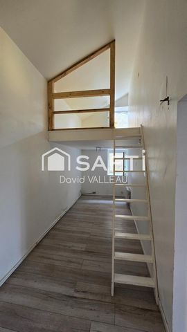 photo no. 7