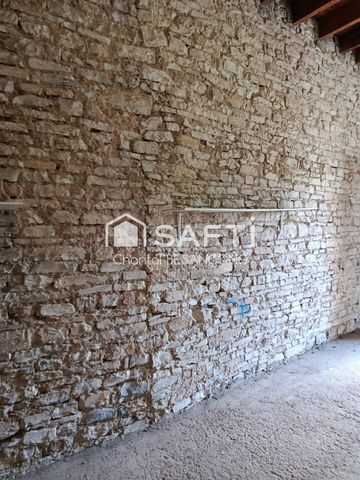 photo no. 11