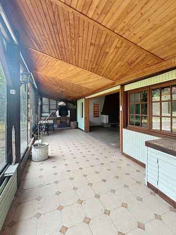 photo no. 3