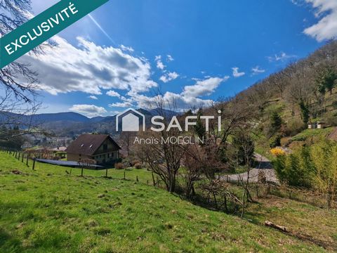 Terrain en bordure de forêt avec vue dégagée
