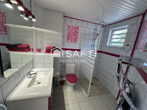photo no. 13