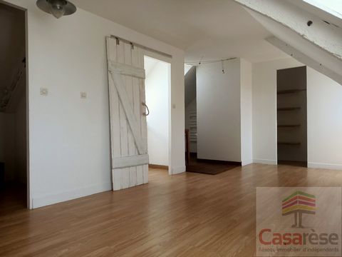 photo no. 10