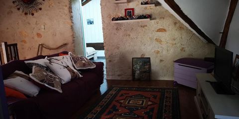 photo no. 6
