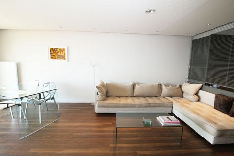 photo no. 7