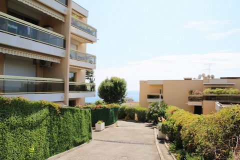 photo no. 15