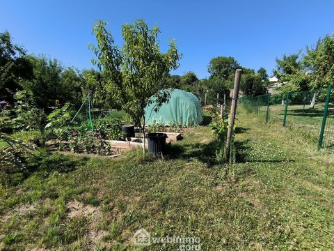 photo no. 19