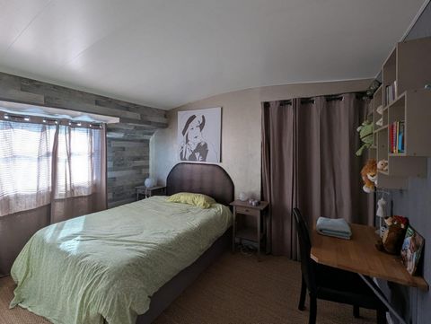 photo no. 11