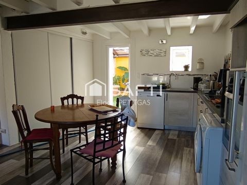 photo no. 5