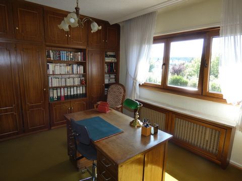 photo no. 8