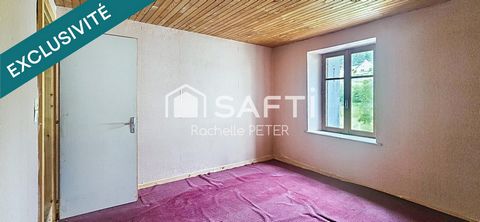 photo no. 8