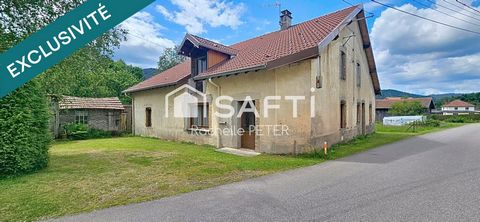 photo no. 11