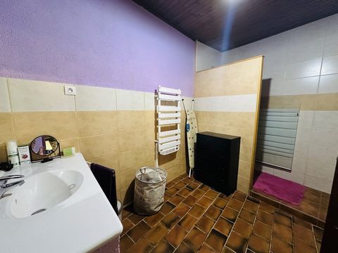 photo no. 10