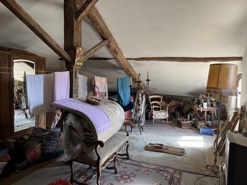 photo no. 5