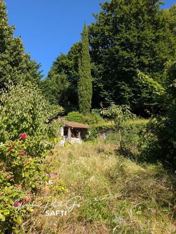 photo no. 2