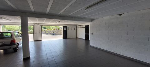 photo no. 10