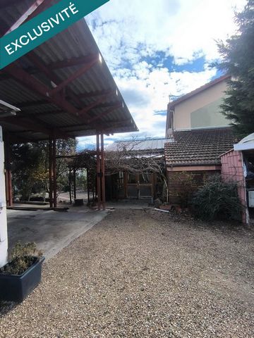 photo no. 11