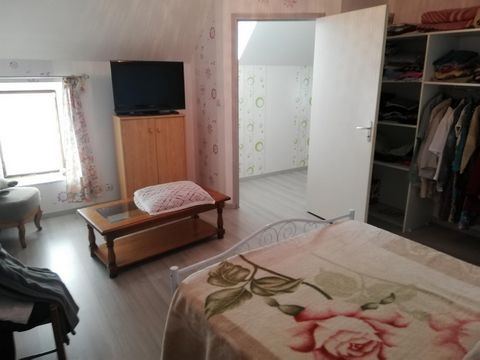 photo no. 8