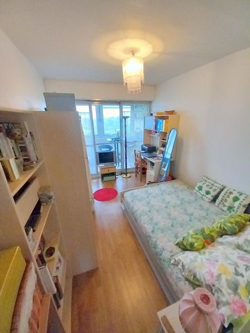 photo no. 12