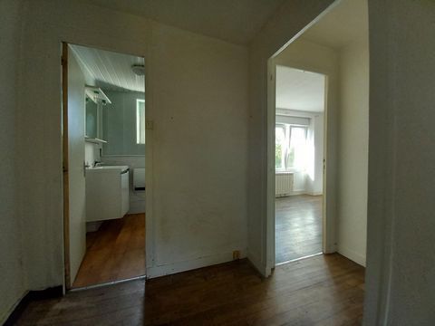 photo no. 7