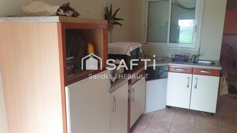 photo no. 11