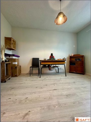 photo no. 11