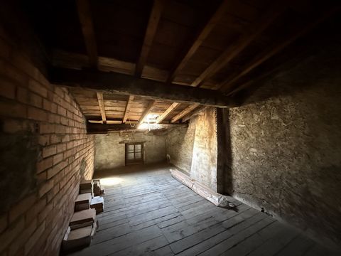 photo no. 16