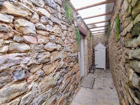 photo no. 13