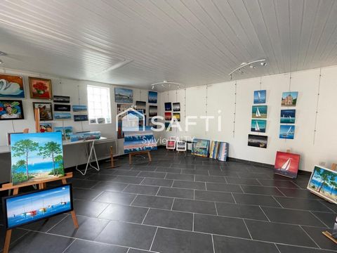 photo no. 7