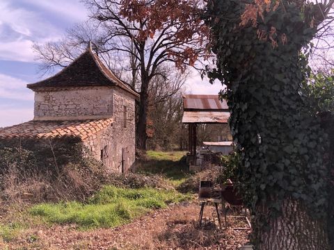photo no. 16