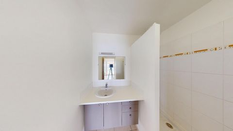 photo no. 8