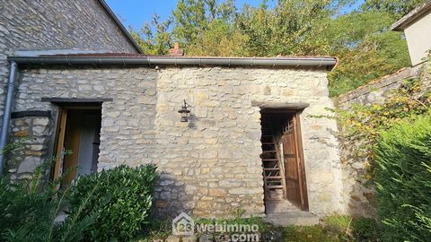 photo no. 11