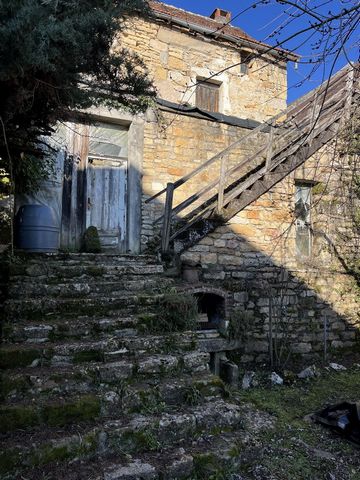 photo no. 4