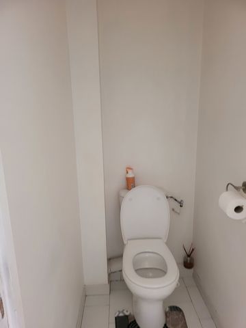 photo no. 10
