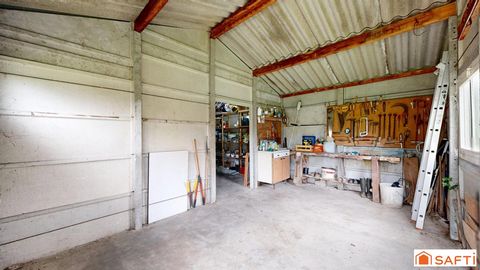 photo no. 14