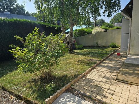 photo no. 11