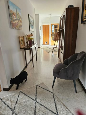 photo no. 12