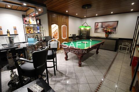 photo no. 11
