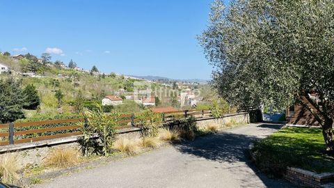 photo no. 16