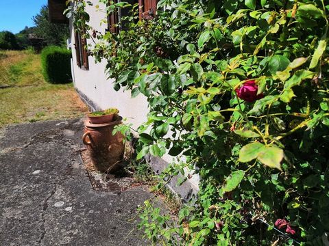 photo no. 16