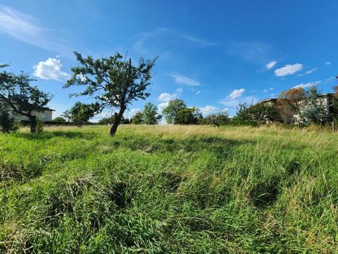 terrain constructible 2893 m²
