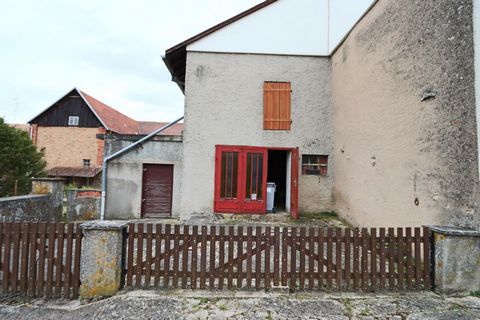 photo no. 8