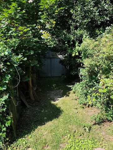 photo no. 9